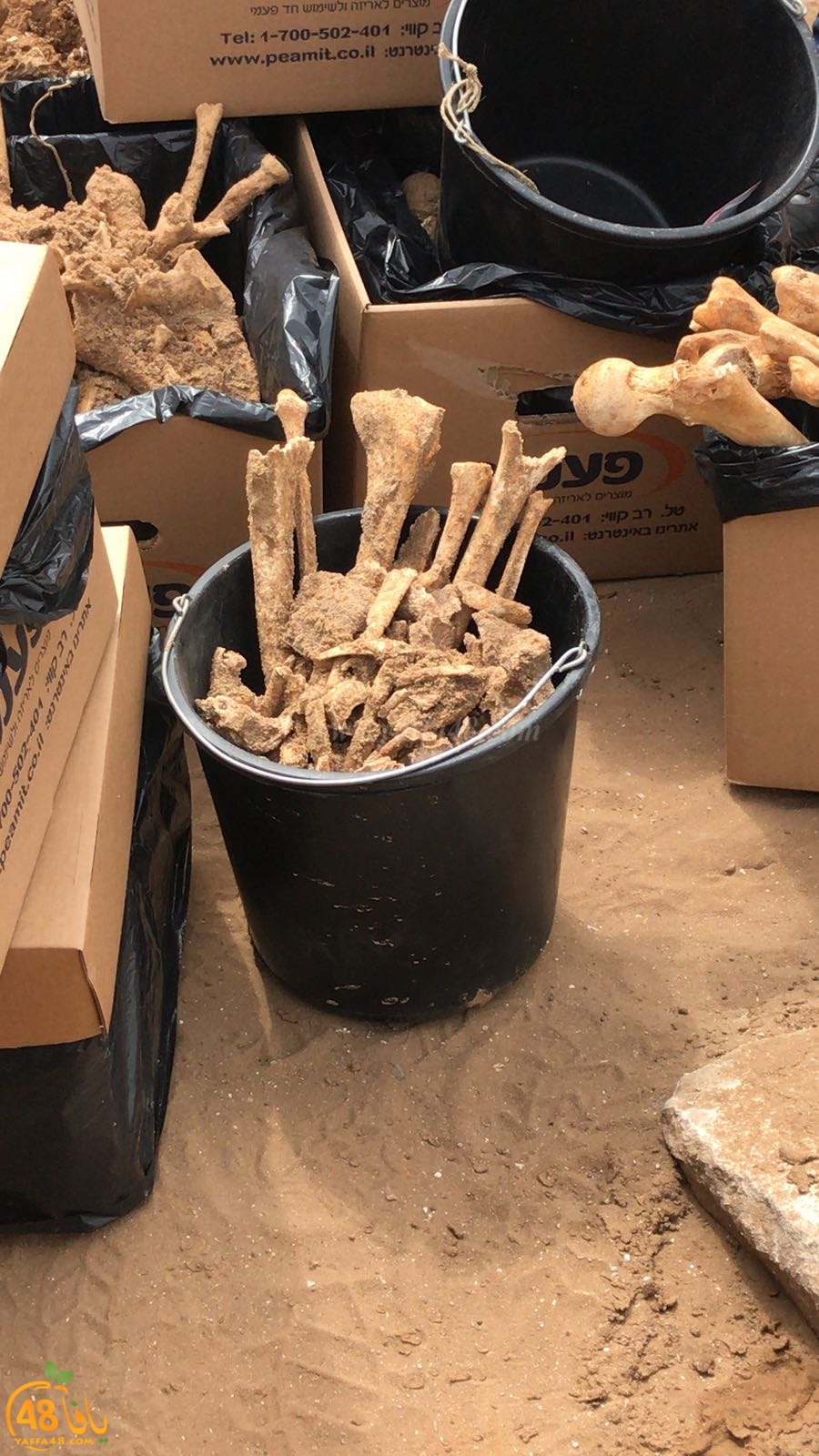 WhatsApp Image 2020-06-17 at 9.30.51 AM (1).jpeg.jpg.jpg